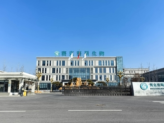 Shandong Saikesaisi Hydrogen Energy Co., Ltd dây chuyền sản xuất của nhà sản xuất